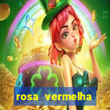 rosa vermelha (letra e cifra)